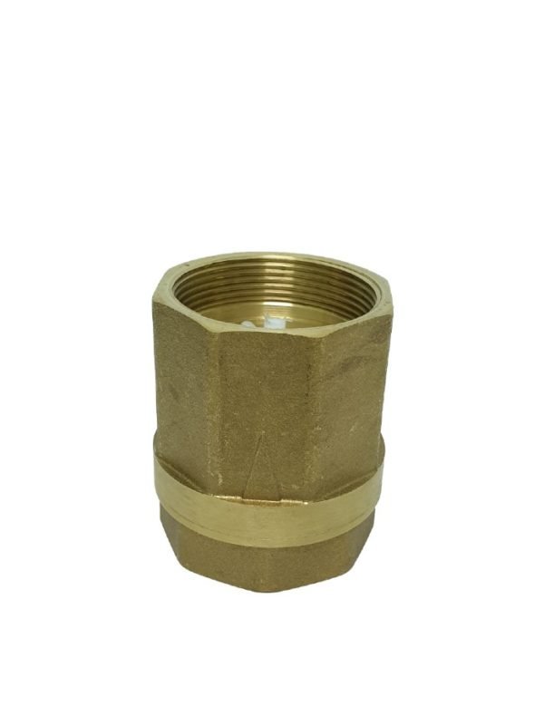 2 inch Brass Spring Loaded Check Valve is design to prevent back pressure of water when water motor pump pressurize in pipe.